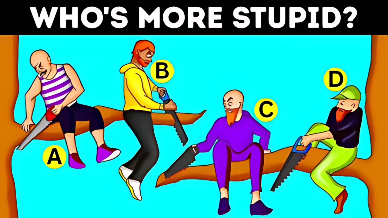 Find One Stupid Boy