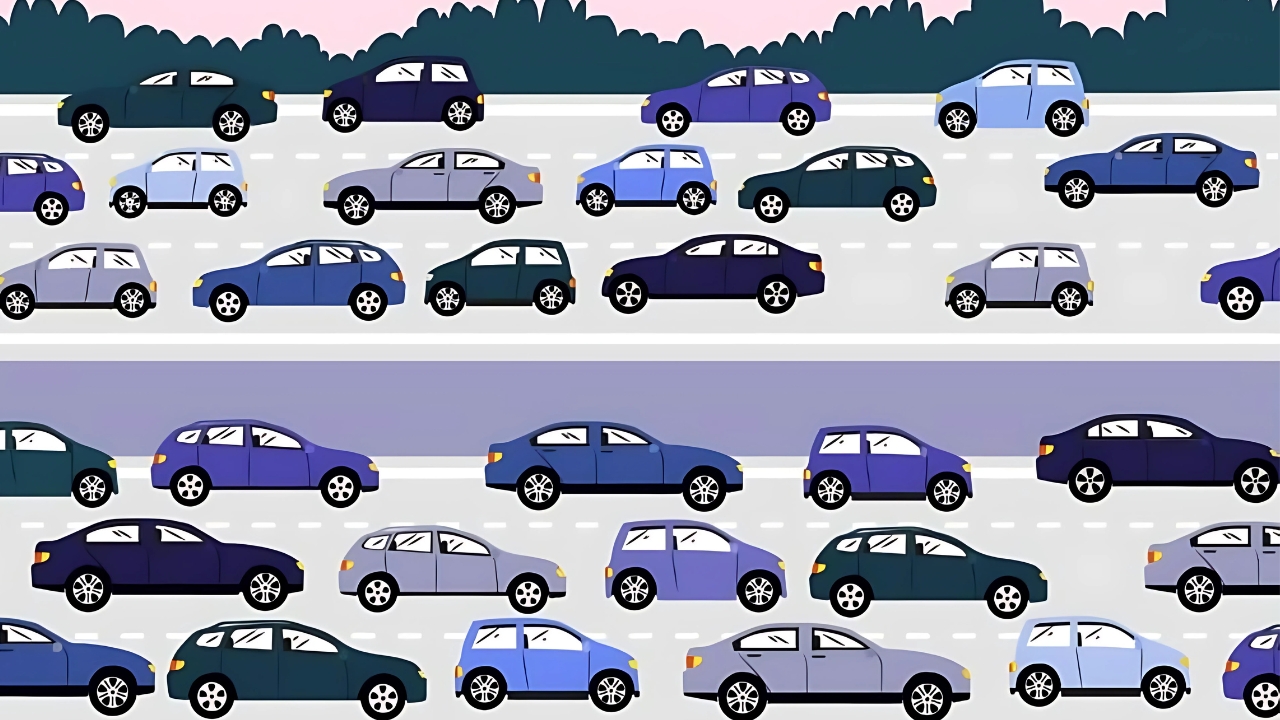 Traffic Offender