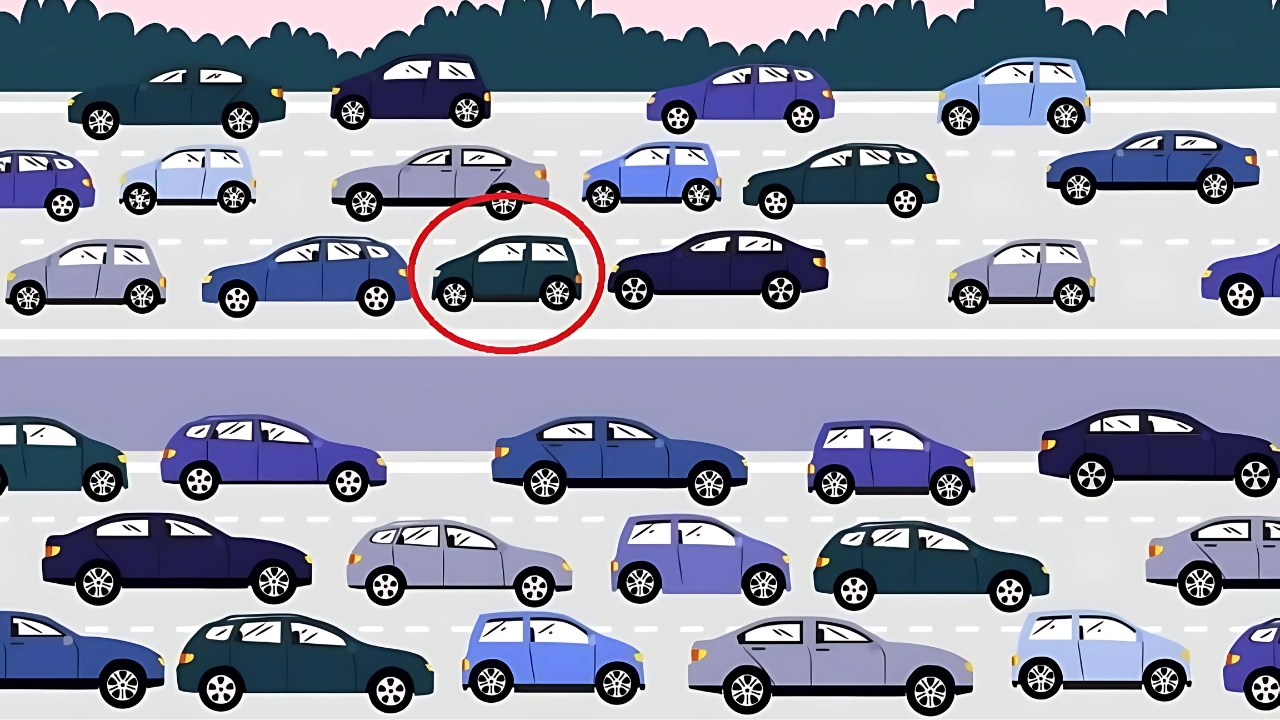 Traffic Offender